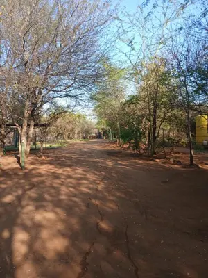 a dirt road with trees on the sides of it at Mbaula lodge in Letaba Wildlife Reserve