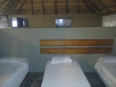 a bedroom with two beds and two windows at Mbaula lodge in Letaba Wildlife Reserve