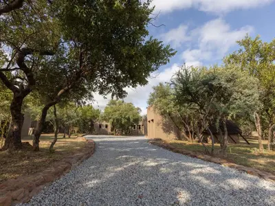 a gravel road with trees on either side at Amy's Camp at the Kevin Richardson Foundation in Dinokeng Game Reserve