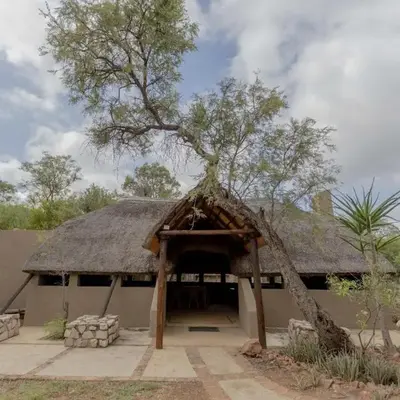 Amy's Camp at the Kevin Richardson Foundation