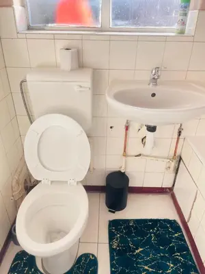 a bathroom with a toilet and a sink at Palm Rest in Pretoria