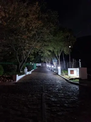a cobblestone street with a row of trees at night at Eden Breeze Hartbeespoort in Hartbeespoort