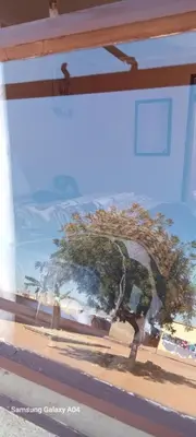 a reflection of a tree in a window at Masha accomodation in Jane Furse