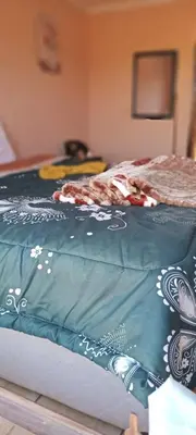a bed with a blue blanket on top of it at Masha accomodation in Jane Furse
