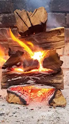 a fire pit with some wood and flames at Erdvark Bosbreek in Marloth Park