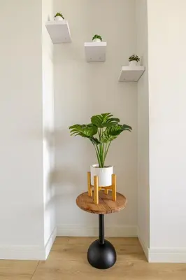 a plant on a table in a room at Neria at Ellipse Waterfall in Midrand