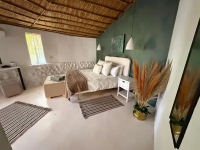 a bedroom with a bed and a plant in a room at Lemón Villa in Bela-Bela