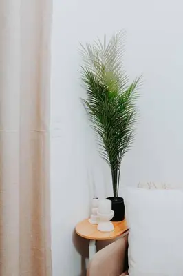 a potted plant sitting on a table next to a window at The Blyde Lagoon Apartment in Pretoria