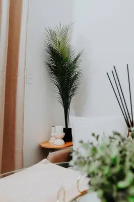 a bedroom with a bed and a table with a plant at The Blyde Lagoon Apartment in Pretoria