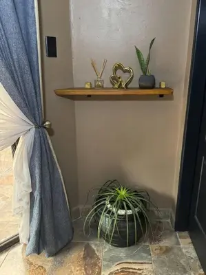 a room with a plant on the floor next to a door at Spacious stay-in 2bedroom apartment in Kempton Park