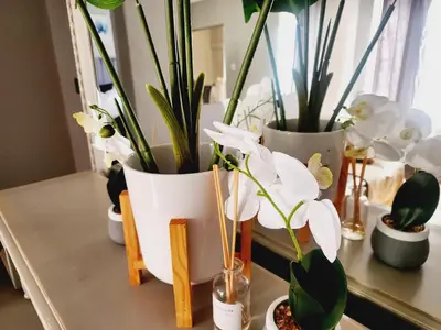 a group of potted plants sitting on a table at Blue Button in Pretoria