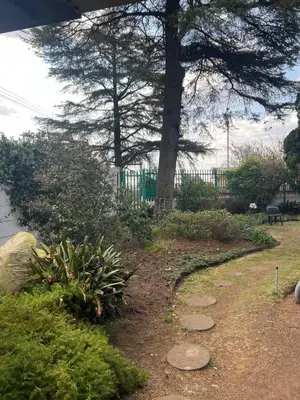 a path in a garden next to a tree at Sunset Hideaway in Pretoria