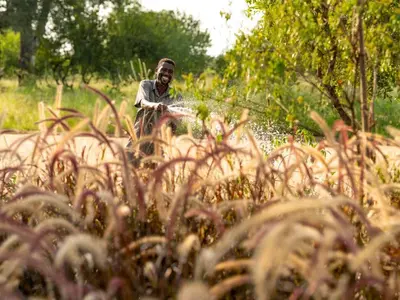 a man standing in a field with a herd of animals at Amaya in Hoedspruit