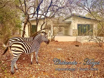 two zebras standing in front of a house at Chikunda Hayes in Marloth Park