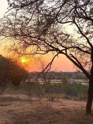 a sunset in a field with a tree at Chikunda Hayes in Marloth Park