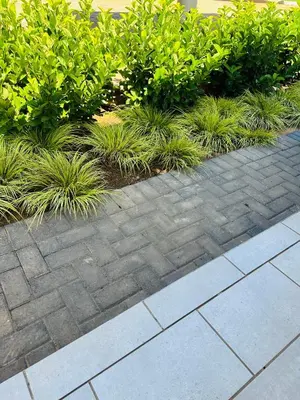a garden with plants and a brick walkway at Serenity stay in Kempton Park