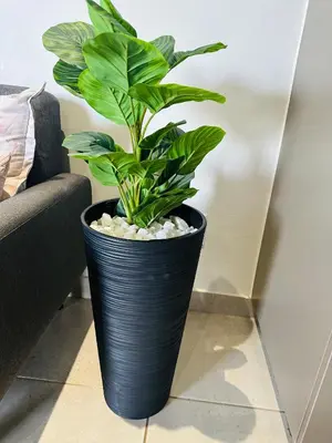 a plant in a black vase sitting on a floor at Serenity stay in Kempton Park