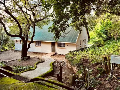a house with a tree and a walkway in front of it at The Core in Bushman Rock