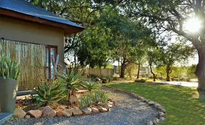 a yard with a house and some plants and trees at Mjejane River Lodge in Hectorspruit