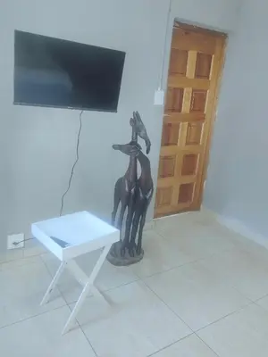 a statue in a room with a table and a television at Choosers Express Hotel Room 6 in Rooihuiskraal