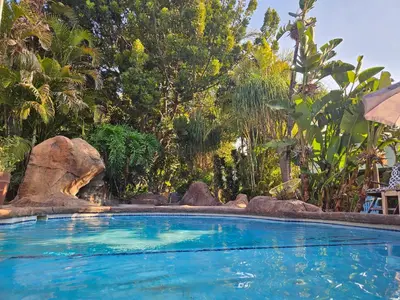 a large swimming pool in a garden with trees at 61 On Ireland Guest House and Conferencing in Polokwane