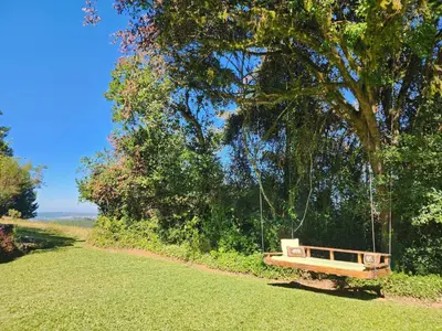a swing hanging from a tree in a park at Country Cottage in Koppie Alleen