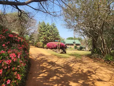 a dirt road with flowers and a house in the background at Country Cottage in Koppie Alleen