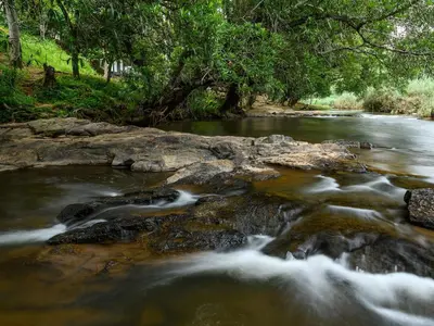 a river with rocks and trees on the side at Hazyview Cabanas in Hazyview