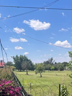 a field of grass with trees and a blue sky at Anga Spaces in Duvhapark