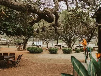 a park with tables and benches and trees at Da Loose Mongoose in White River