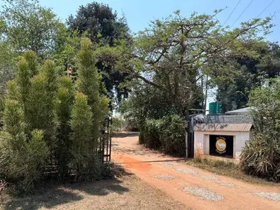 a dirt road with a gate and trees at Da Loose Mongoose in White River