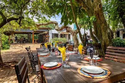 a wooden table with plates and glasses under a tree at Da Loose Mongoose in White River