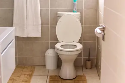a bathroom with a white toilet and a sink at The Blyde Tranquil Escapes in Pretoria