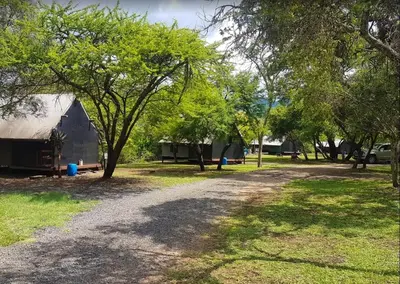 a gravel road in a park with trees at Indabushe Eco Lodge in Schoemanskloof