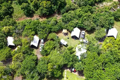 an overhead view of a group of tents in the trees at Indabushe Eco Lodge in Schoemanskloof