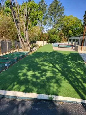 a shadow of a tree on a lawn with a skate park at Limewood super Deluxe in Sandton