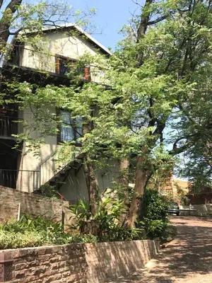 a house with a tree in front of it at Cozy Urban Oasis in Hatfield in Pretoria