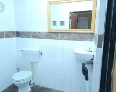 a bathroom with a toilet and a sink and a mirror at Prospectus Accommodation in Northam