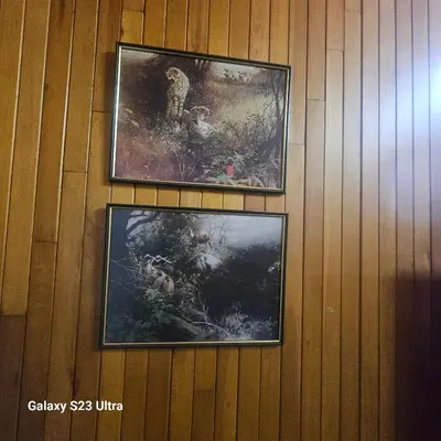three pictures on the wall of a room at Yello guest house chalets in Graskop