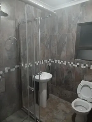 a bathroom with a toilet and a sink and a shower at Elangeni Guest House in Mahubahuba