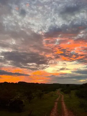 a dirt road in a field with a sunset at Kaoxa Bush Camp in Alldays