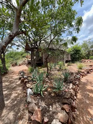 a garden with a house and trees and rocks at Kaoxa Bush Camp in Alldays