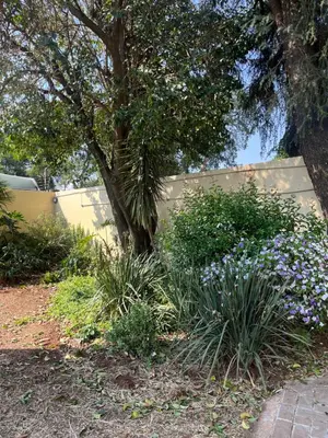 a garden with purple flowers and a fence at Charming Urban Retreat in Centurion