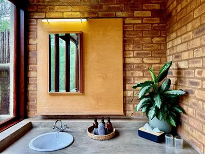 a bathroom sink with a mirror and a potted plant at The Riverine Lodge in Welgevonden Game Reserve