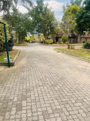 a cobblestone street in a park with trees at Tan 46 Park Acres in Nelspruit