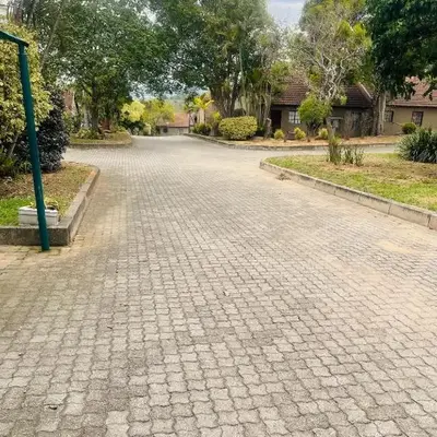 Tan 46 Park Acres