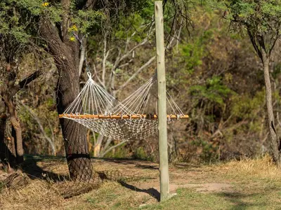 a hammock on a pole next to a tree at Waterberg Game Park in Mokopane