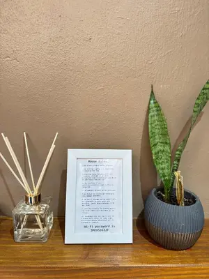 two plants are sitting on a table with a picture at Spacious stay-in 1bedroom apartment in Kempton Park