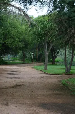 a dirt road in a park with trees at Grootgeluk in Naboomspruit