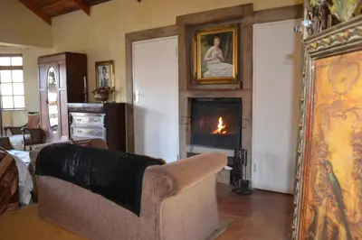 a living room with a couch and a fireplace at Fox & Squirrel in Dullstroom